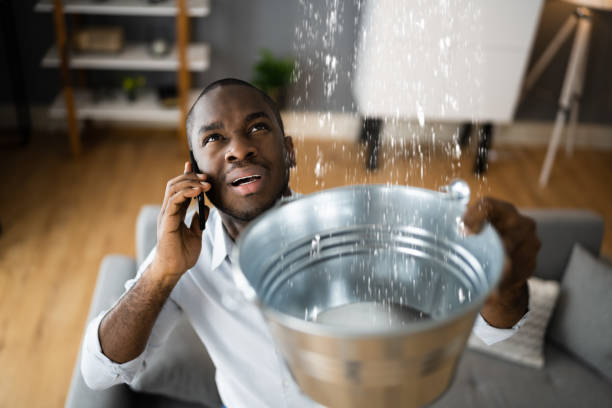 Best Water damage cleanup near me  in Stamps, AR