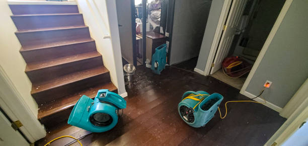 Best Carpet water damage restoration  in Stamps, AR