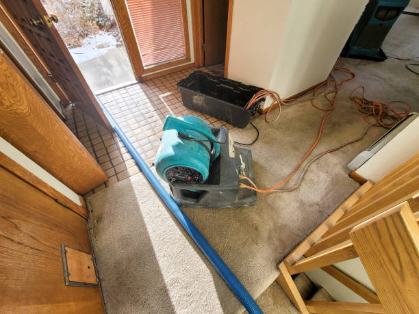 Best Flood restoration services  in Stamps, AR