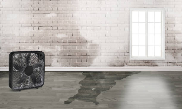 Best Fire Damage Restoration  in Stamps, AR