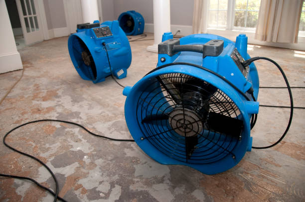 Sewage cleanup and water damage restoration in Stamps, AR