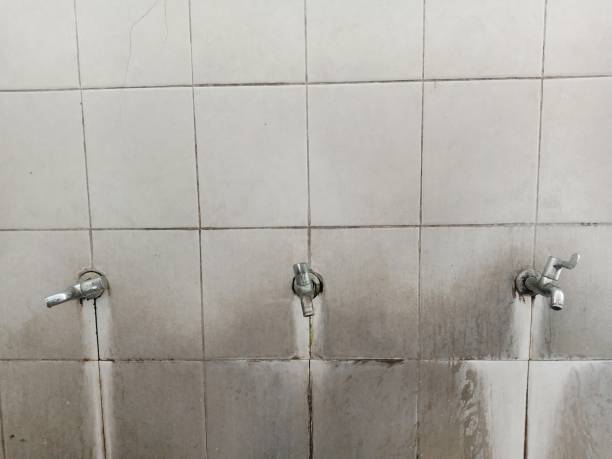 Best Commercial water damage restoration  in Stamps, AR