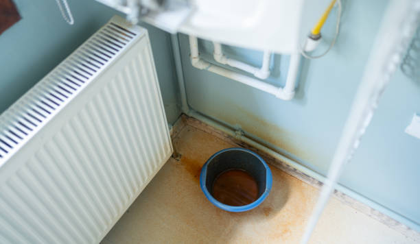 Best Water damage contractors near me  in Stamps, AR