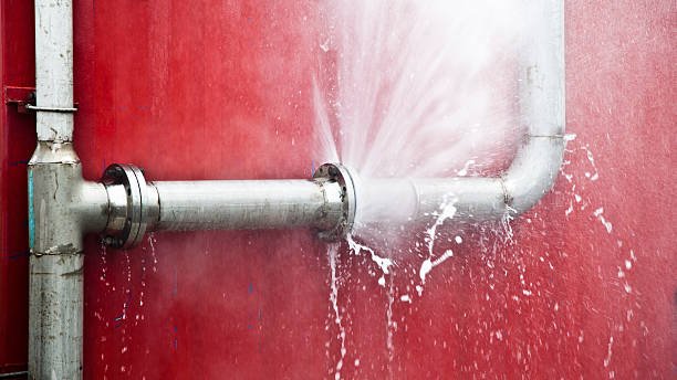 Best Professional water damage repair  in Stamps, AR