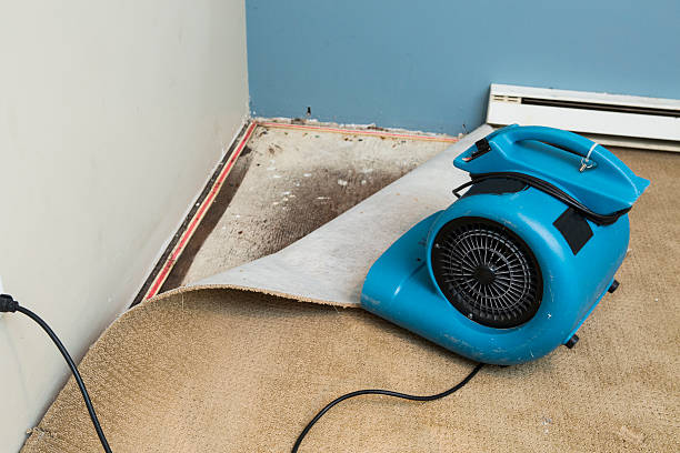 Best Water damage restoration services  in Stamps, AR